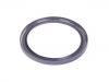 Crankshaft Oil Seal:11 11 7 587 168