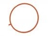 Intake Manifold Gasket:276 141 04 80